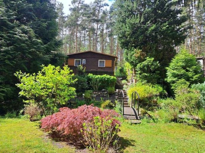 Sommer 2026 im eigenen Freizeitbungalow in ruhiger, idyllischer Waldlage von Coswig Möllensdorf – Foto 1