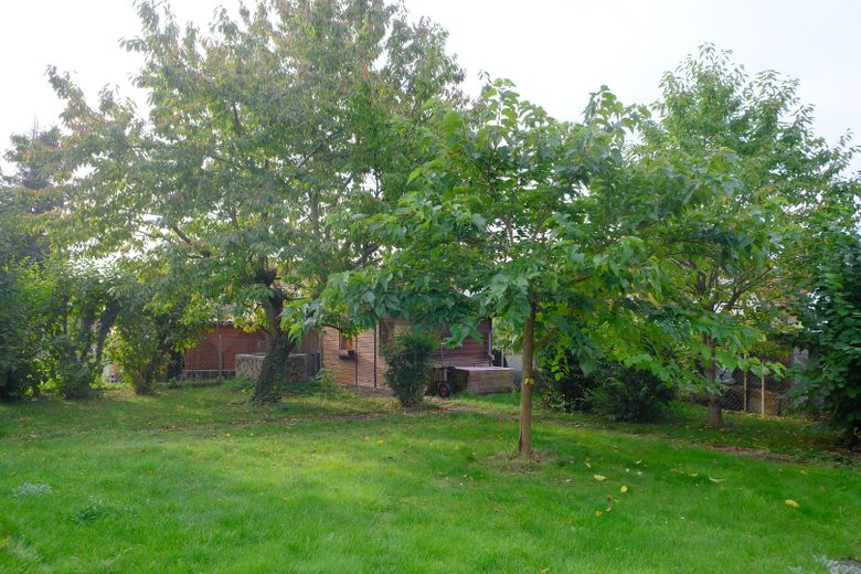 Maison individuelle confortable (max. 3 pers.) avec grand jardin, UNIQUEMENT À LOUER ! – Gartenansicht 1