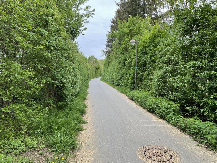 Weg in die Weite