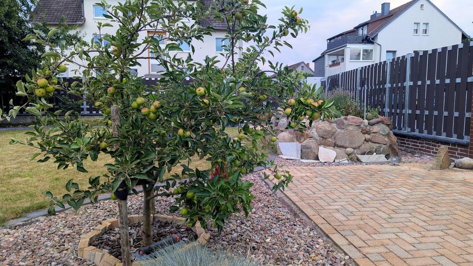 Ohne Makler: Modernisiertes 3-Familienhaus in Bordenau nahe Wald – Garten