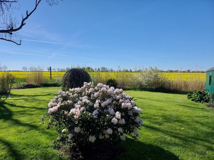 Der Frühling ist da