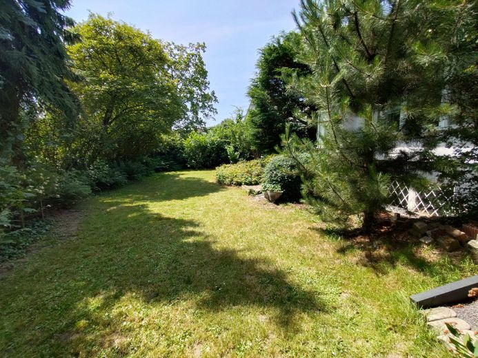 Blick in den Garten