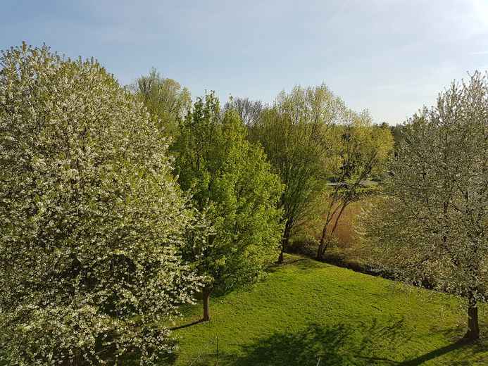 fantastischer Blick vom Balkon