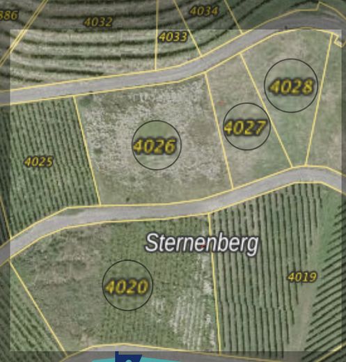 Sternberg 4020,4026,4027,4028
