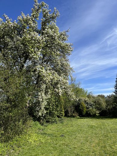 #Preisreduktion - Mehrfamilienhaus (ehem. Hof)- unverbaubare Alleinlage nahe Hamburg - Privatverkauf – Blick in den Garten