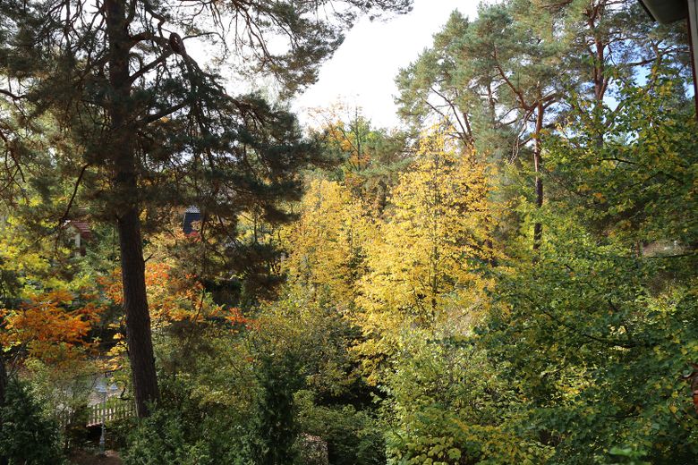 Blick zur Straße