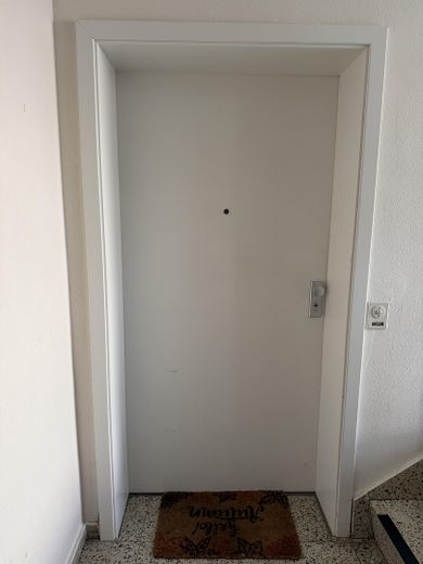 Wohnungseingangstüre
