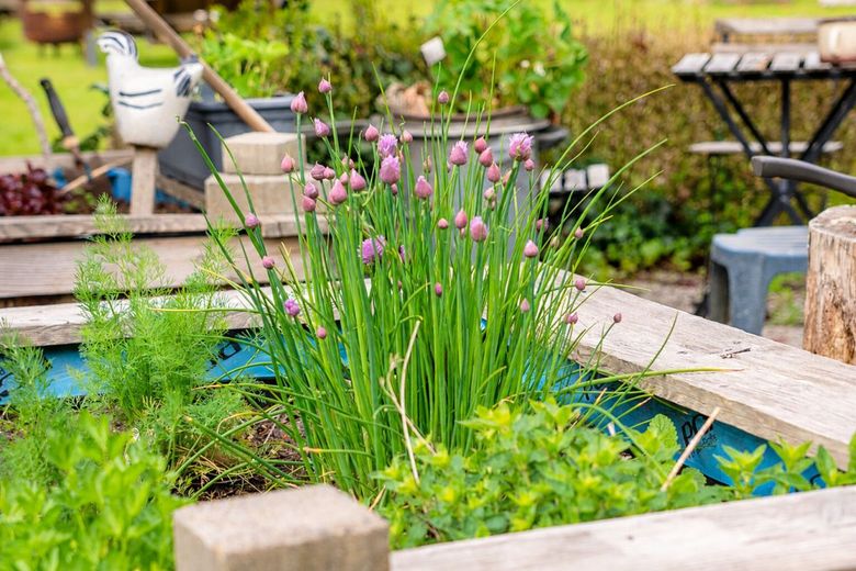 Einziehen, durchatmen, Zuhause sein - Gartenidylle
großzügiges Wohlfühlhaus - Küstenheide &amp; Nordsee – Liebevoll angelegter Gartenbereich