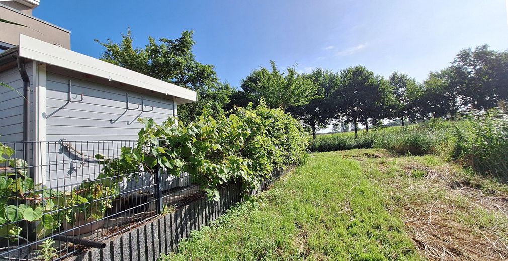 Panorama - Haus Südseite