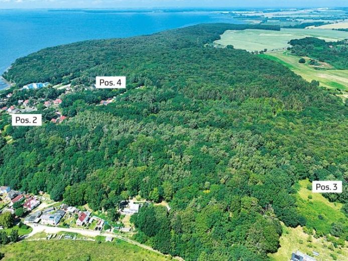 Wald in 18528 Lietzow /Insel Rügen, An der Waldstraße – Foto 1