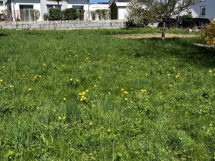 Großzügiges Grundstück in ruhiger und sonniger Randlage – Foto 1