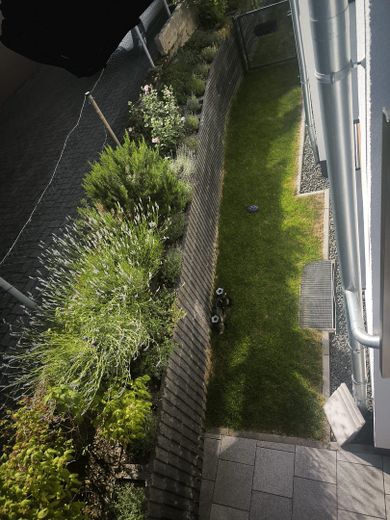Gartenansicht vom Balkon