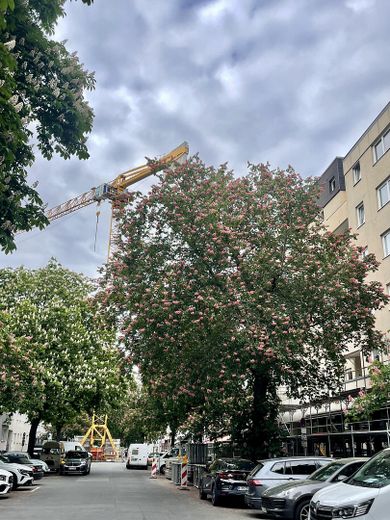 Erstbezug nach Sanierung – Moderne 2-Zimmer-Wohnung nahe Kurfürstendamm – Straßenansicht