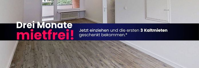 EINZIEHEN UND BIS ZU 3 KALTMIETEN SPAREN: Große 3-Zimmer-Wohnung mit BALKON und EBK in Kappeln-Ellenberg