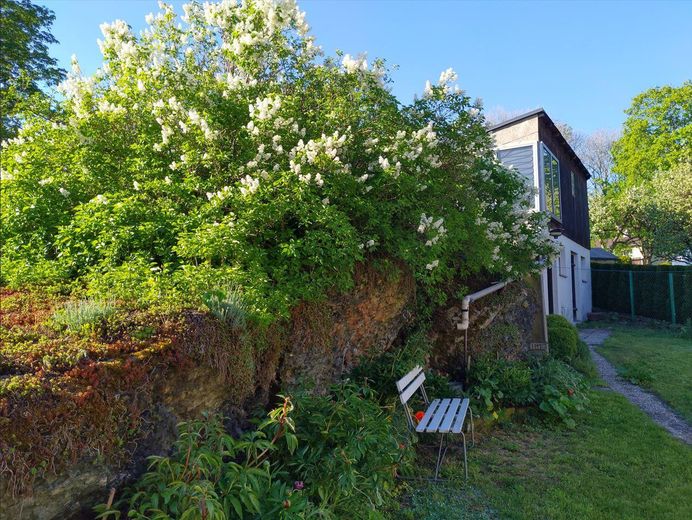 Idyllisch Wohnen - freier Blick ins Grüne und viel Raum für Gestaltung und Freizeit – Garten mit Schuppen