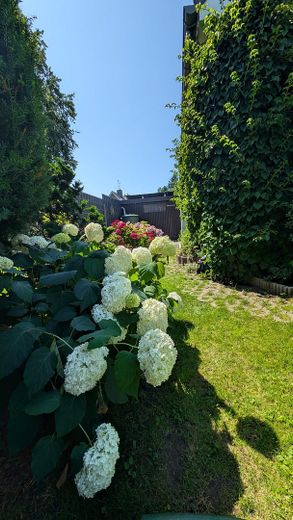 Family idyll in a quiet location (house no commission, energy class A) – Durchgang Garten / Carport