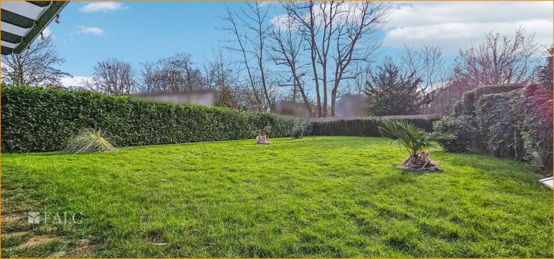 Garten (2)
