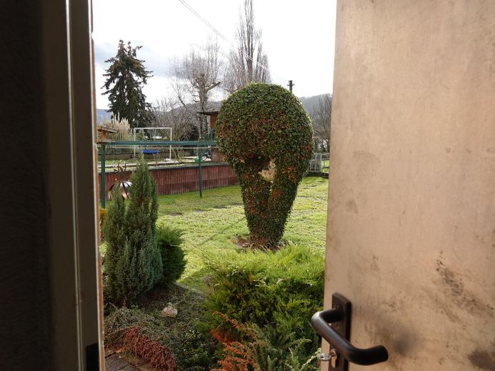 Blick in den Garten