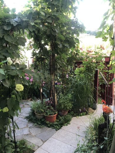 Ein-/Zweifamilien Stadthaus am Weinberg kernsaniert, vielseitig nutzbar, freistehend – Garten