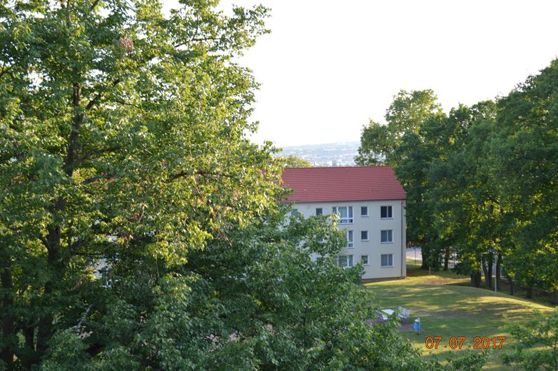 Habiter merveilleusement en solitaire, au calme et au milieu de la verdure de WI-Sonnenberg, sur un versant sud – Sicht nach Südsüdwest