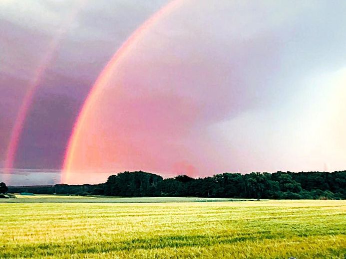 Der herrliche Blick II