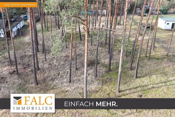 Teren budowlany o powierzchni 2593 m² w Borkheide – bez obowiązku korzystania z dewelopera!!