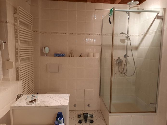 Splendida casa bifamiliare con vista sul lago – Badezimmer EG