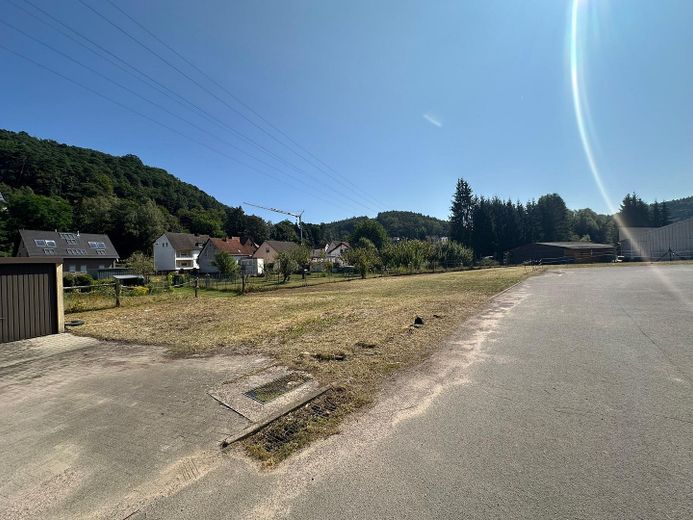 66976 beste Anbindung: 500 -2000qm für Gewerbe / Landw / Forst / Holzhandel / Lager – Freifläche Gewerbe