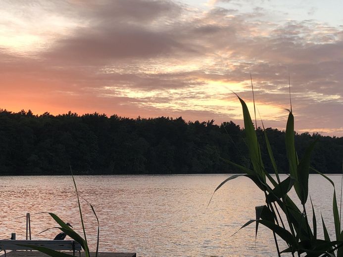 gepflegte Villa mit eig. Seezugang, Steg, Gästehaus, Sauna, Designmobiliar nahe Berlin – Abendstimmung