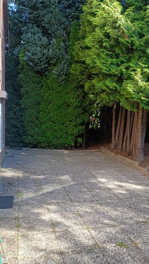 2 Familienhaus in top Lage von Badenstedt – Terasse 3