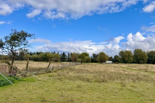 HORN IMMOBILIEN mit Video 5,6 ha bei Löcknitz, als Wildtierfarm, zur Pferdehaltung oder für Alpakas
