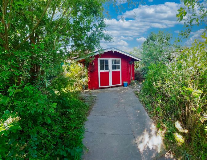 Hier wachsen viele Beeren