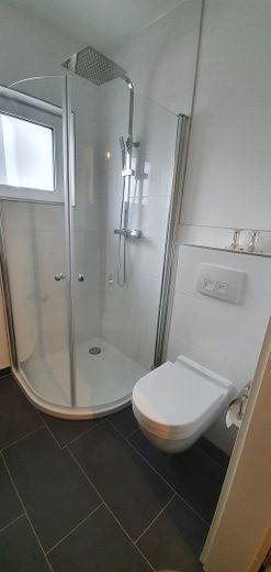 Luxuriöse Neubau-Immobilie in Naturnähe: Modern, lichtdurchflutet und vielseitig – EG Dusche