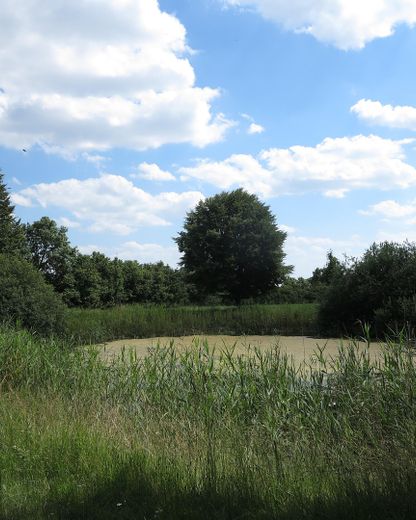 eines der letzten, erhaltenen SCHEUNENGUTSHÄUSER (mit 4-6 ha. Naturgrundstück) – Dorfteich re. Seite