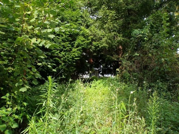 Baugrundstück (erschlossen) - an einer Hauptstraße, aber in 2.ter Reihe und dadurch ruhig gelegen – 3 Grundstück (Blick Richtung vorderer Bereich)