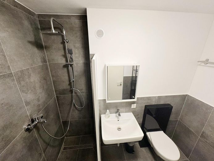 Helles WG Zimmer (saniert / vollmöbliert) – Bad 1