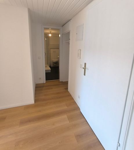 Einziehen und Wohlfühlen - 1 Zimmer Apartment mit Küche – Eingangsbereich 