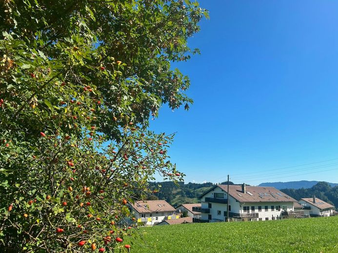Wohnen oberhalb des Alpsees – Eigentumswohnung mit traumhafter Lage im Allgäu – Foto 2