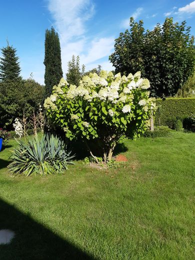 Moderne Neubau- Toskana -Villa in bester Lage ,Golf-Thermenregion,Niederbayern/Bad Griesbach – Foto 6