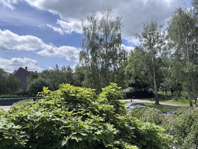 EG 3 Zi.-TOP Lage Schelfstadt, sanierter Altbau,sehr hell ,S/W Balkon,neue EBK – Foto 8