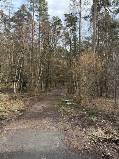 ruhiges Baugrundstück in Waldrandlage Röttenbach bei Heßdorf – Baugrundstück Röttenbach 007