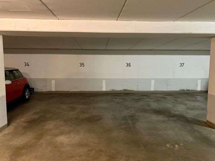 Wohnen am Stadtpark: Moderne 3-Zimmer-Wohnung mit Balkon – Tiefgaragenstellplatz