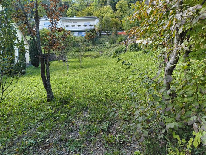 A-Bauplatz, Obstwiese