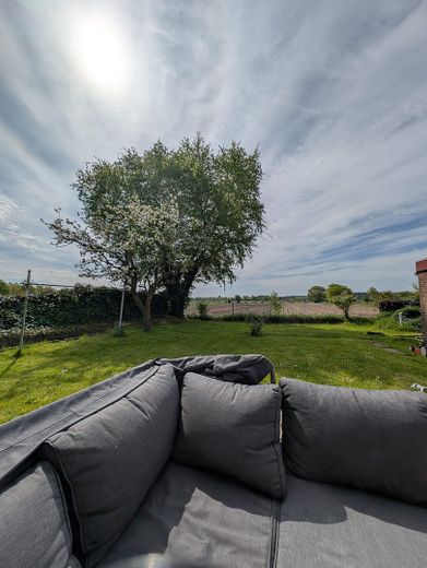 Blick in die Natur