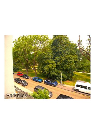 Blick in den Garten und Garage