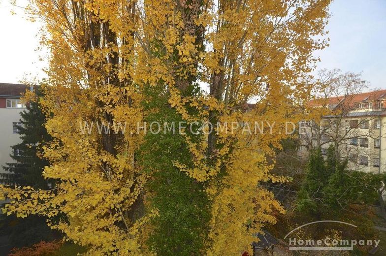 Furnished apartment in Berlin Westend nice location – 50a63f872ae5b77b07e9102e30ab620f6f489089.jpg