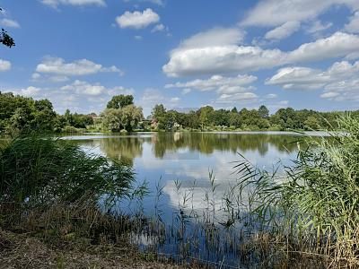 IHR RÜCKZUGSORT MIT ZUGANG ZUM SEE – SANIERUNG – 1791194667_93b89f.jpg