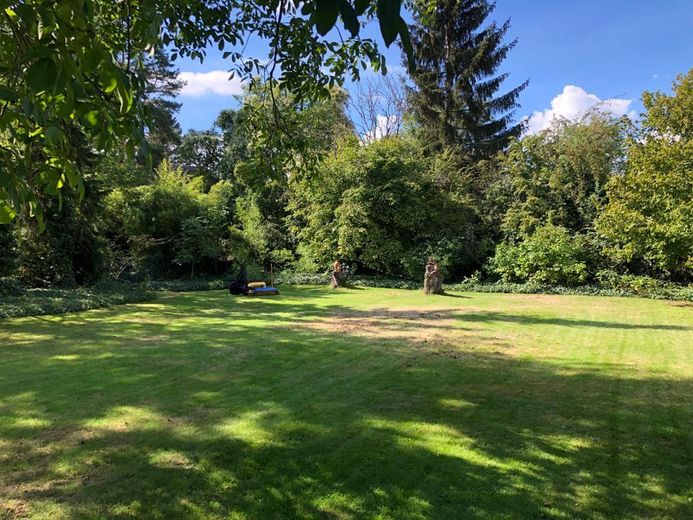 Erstbezug nach Sanierung - Südwestterrasse mit Gartenblick – Gartenanlage / Privatpark