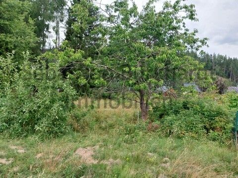 *** Baugrundstück mit Garage in Altenfeld nähe Großbreitenbach *** – Grundstück_3