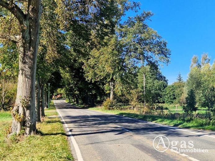 Bauträgerfreies ca. 3.800m² großes Grundstück in wunderbarer Lage, Bauland ca. 1.500 m² – Straße Ansicht 1